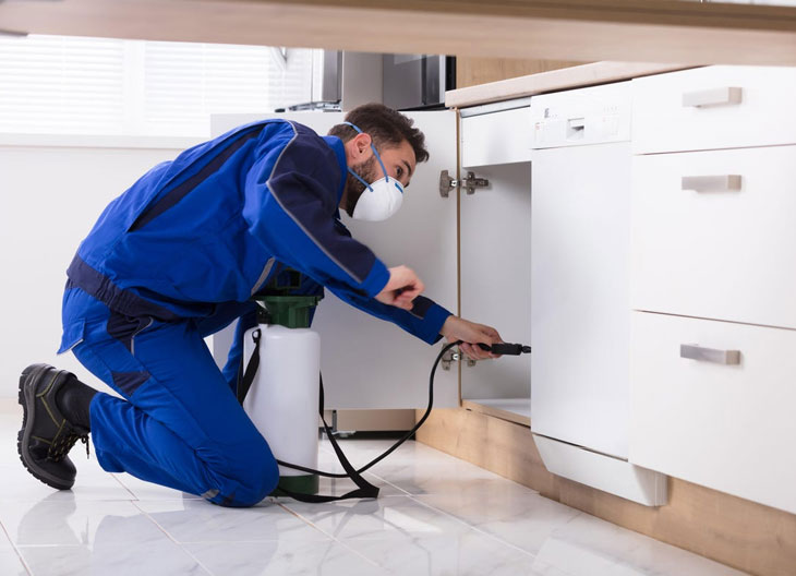 Best Pest Control Services In Gurugram